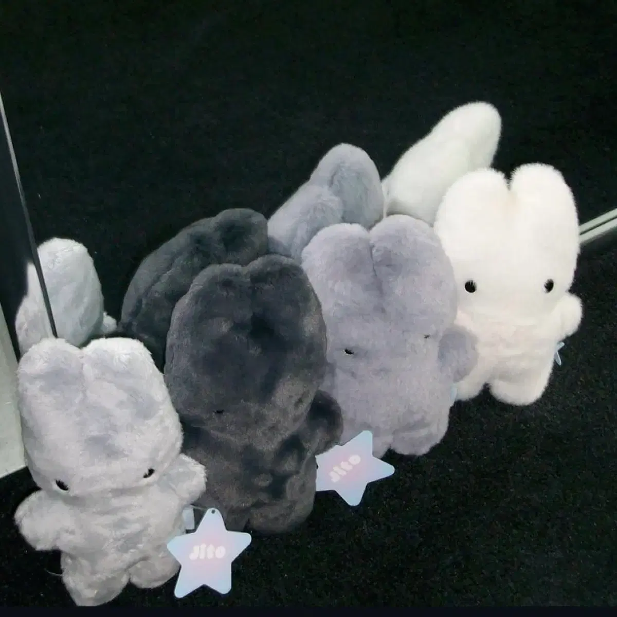 JITO JICHOI 지토 지초이 지초이 [JITO WORLD] JITO - 위시버킷